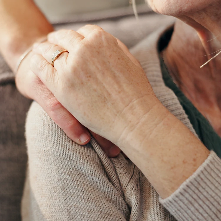 Our Palliative Care Services Include